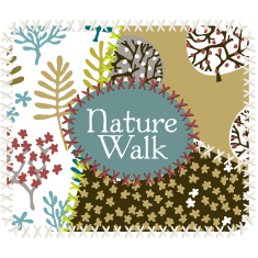 Nature Walk