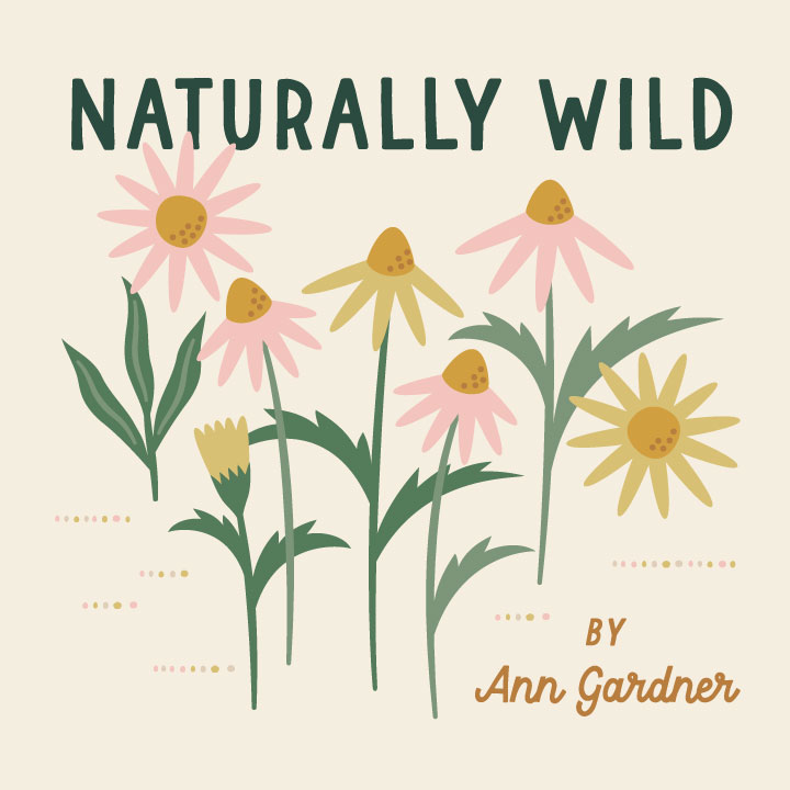 Naturally Wild 100% organic cotton quilter's weight fabric by Ann Gardner for Cloud9 Fabrics shipping in March 2025